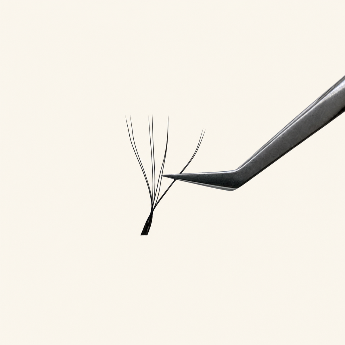 SUTCAY long angle isolation tweezer precision performance